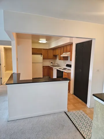$155,000 | 2226 South Goebbert Road, Unit 473, Arlington Heights, IL 60005