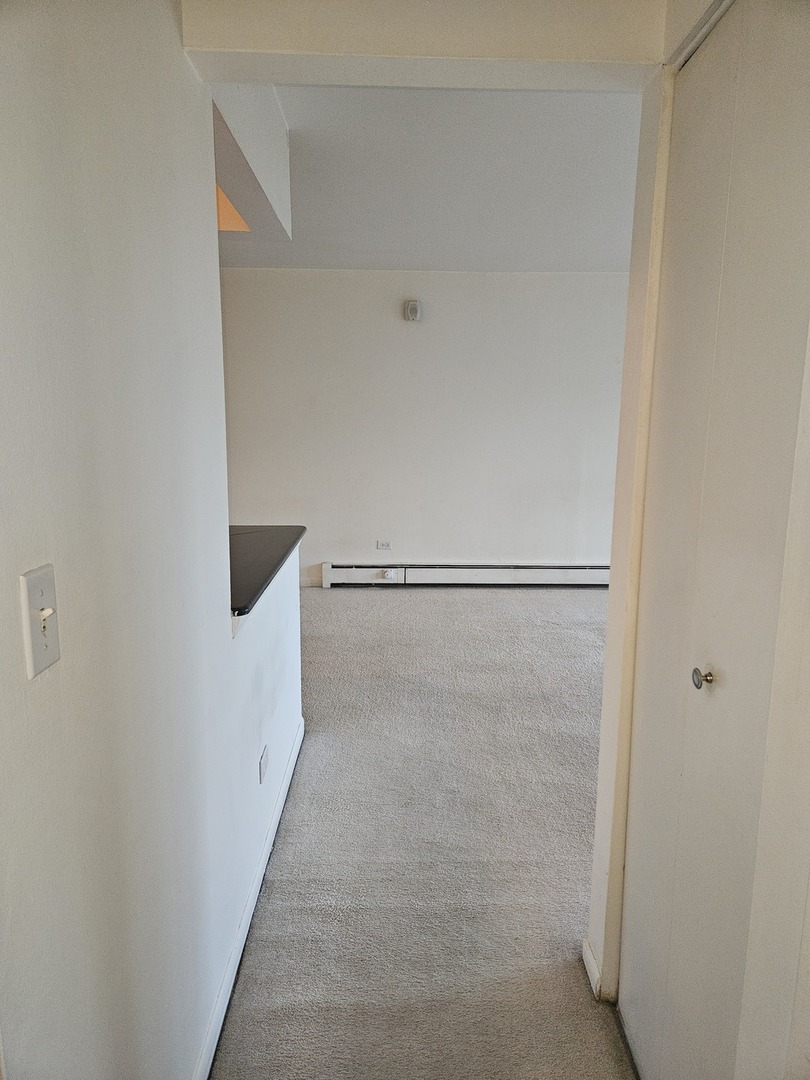 2226 South Goebbert Road, Unit 473 Arlington Heights, IL 60005 - Photo 9 of 15