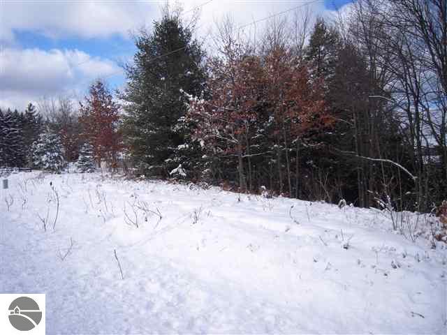 6402 Ingersoll Road Southwest Fife Lake, MI 49633 - Photo 6 of 24 1733609-5.JPG