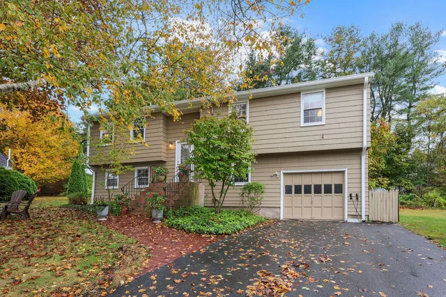 a view of a house with a yard and plants