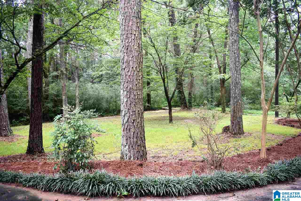 1139 Old Section Road Birmingham, AL 35244 - Photo 29 of 38