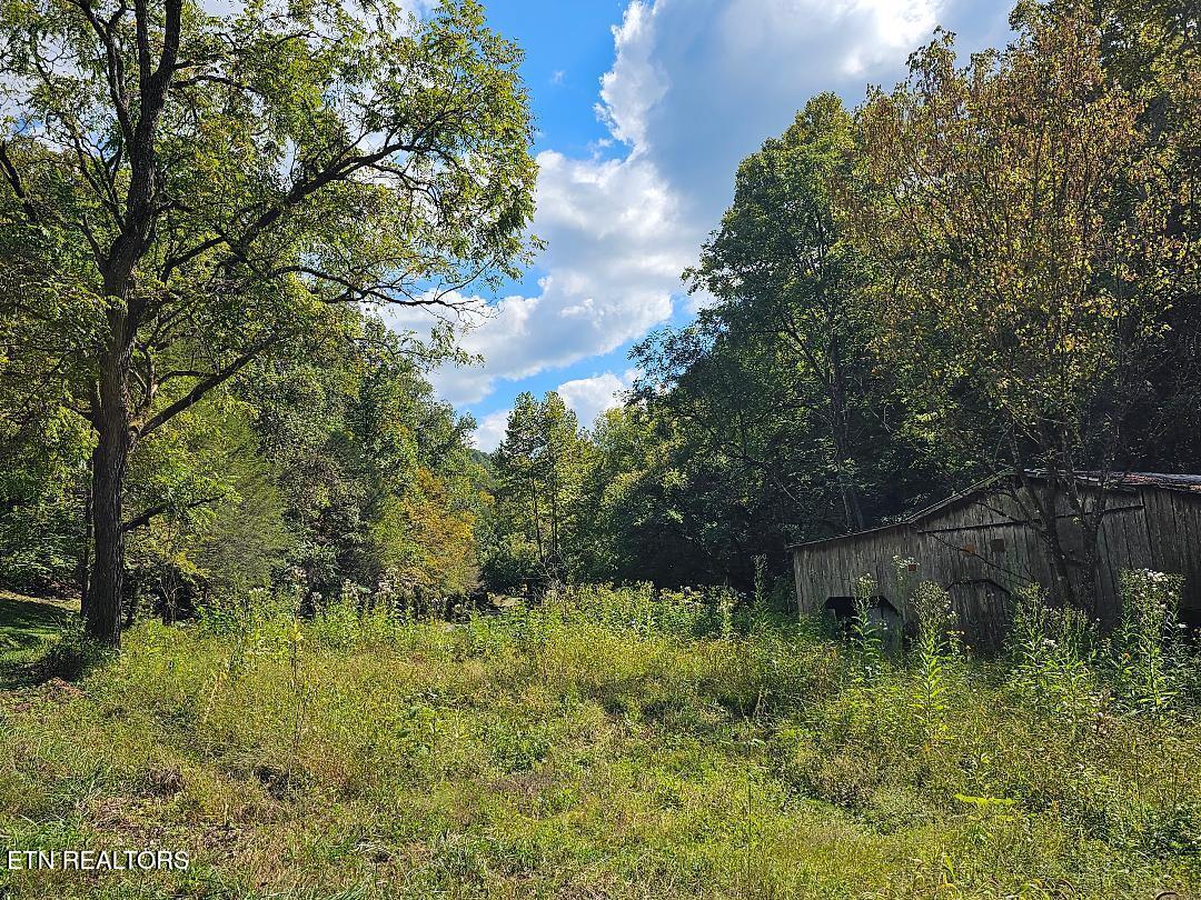 73.87-ac Mill Hollow Road Tazewell, TN 37879 - Photo 11 of 35 pic16