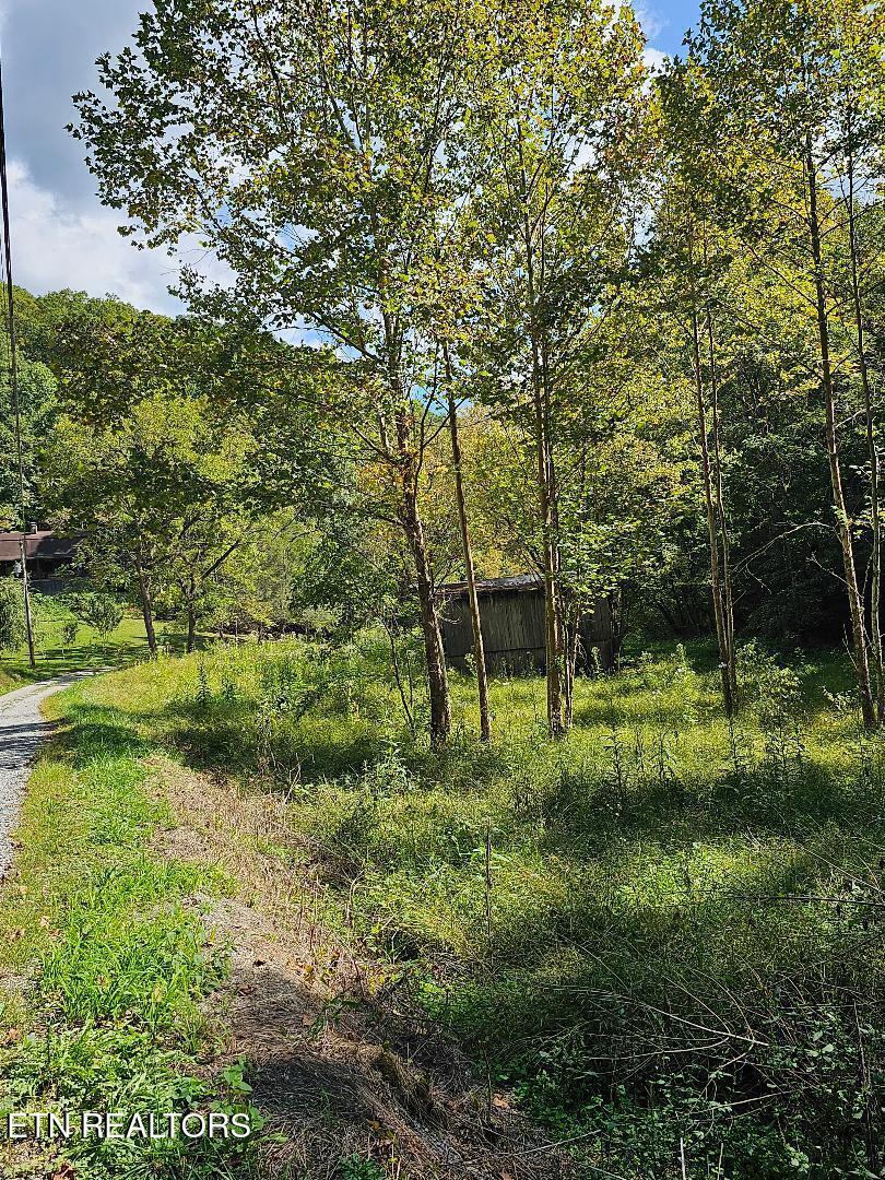 73.87-ac Mill Hollow Road Tazewell, TN 37879 - Photo 12 of 35 pic17