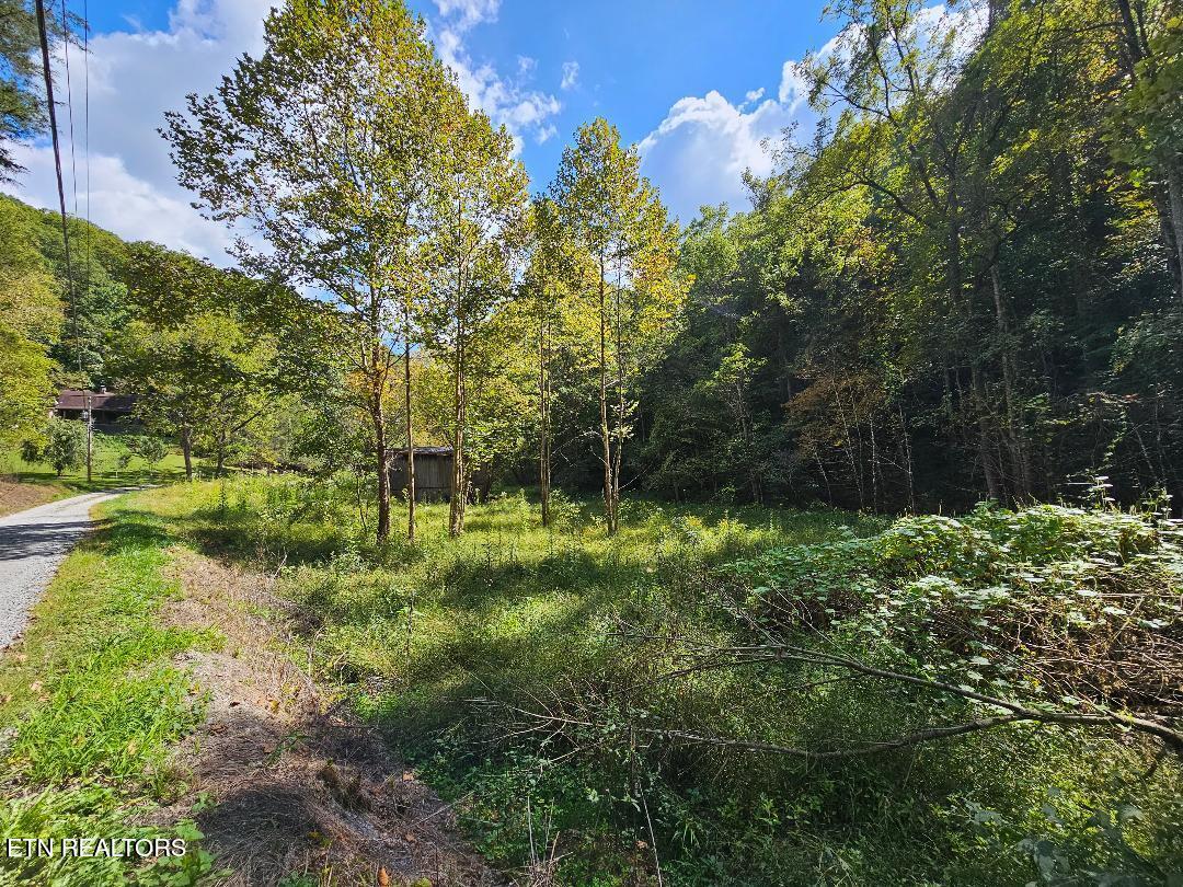 73.87-ac Mill Hollow Road Tazewell, TN 37879 - Photo 13 of 35 pic18