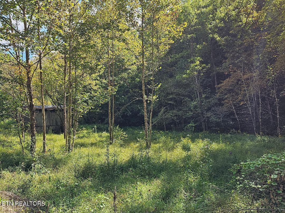 73.87-ac Mill Hollow Road Tazewell, TN 37879 - Photo 14 of 35 pic19