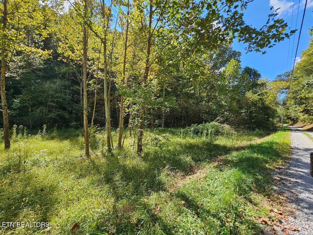 73.87-ac Mill Hollow Road Tazewell, TN 37879 - Photo 15 of 35 pic21