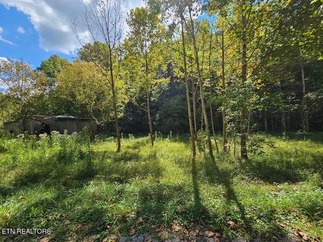 73.87-ac Mill Hollow Road Tazewell, TN 37879 - Photo 16 of 35 pic22