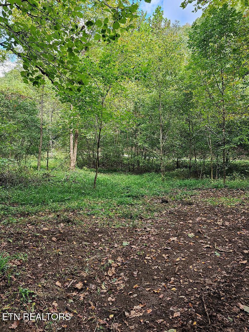 73.87-ac Mill Hollow Road Tazewell, TN 37879 - Photo 18 of 35 pic30