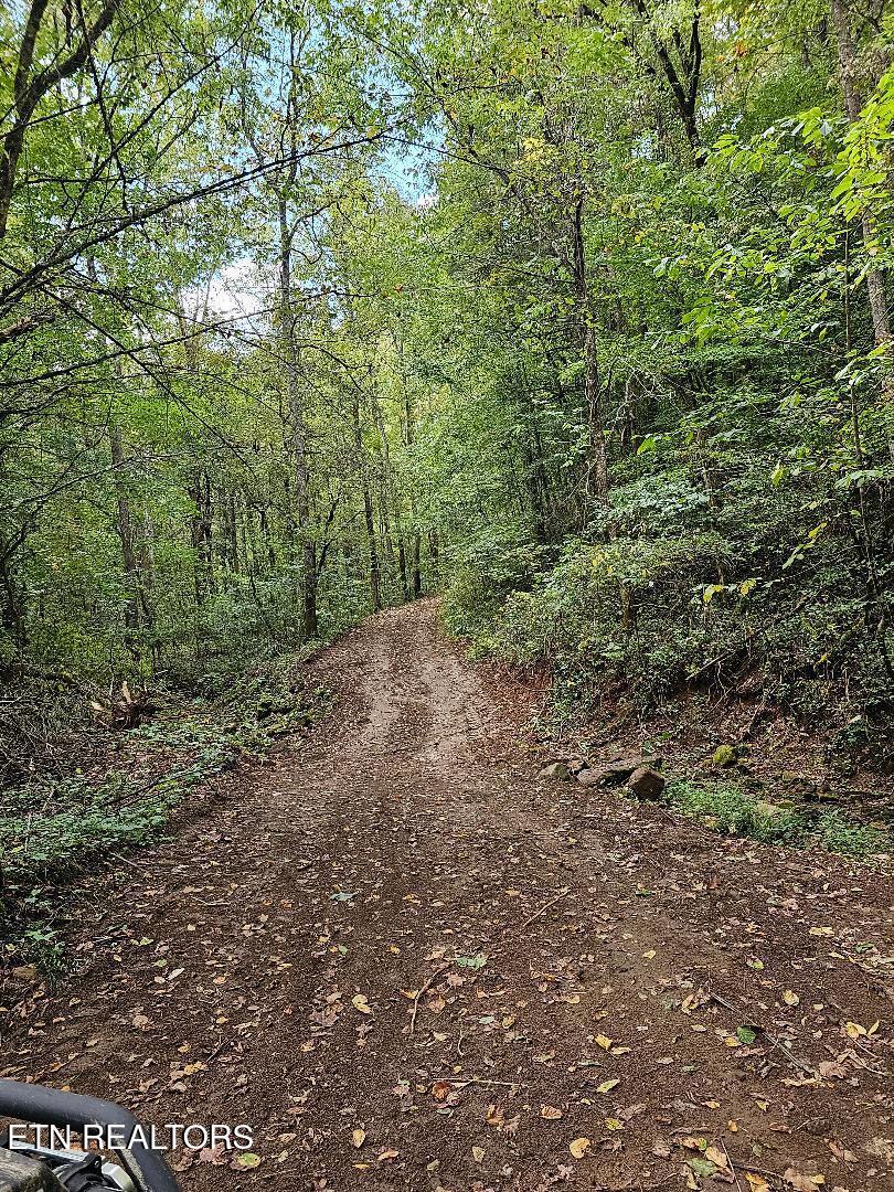 73.87-ac Mill Hollow Road Tazewell, TN 37879 - Photo 19 of 35 pic29