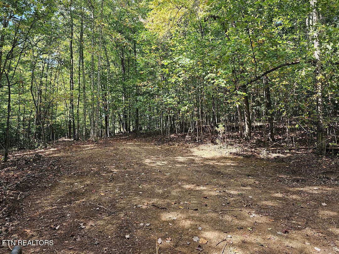 73.87-ac Mill Hollow Road Tazewell, TN 37879 - Photo 21 of 35 pic32