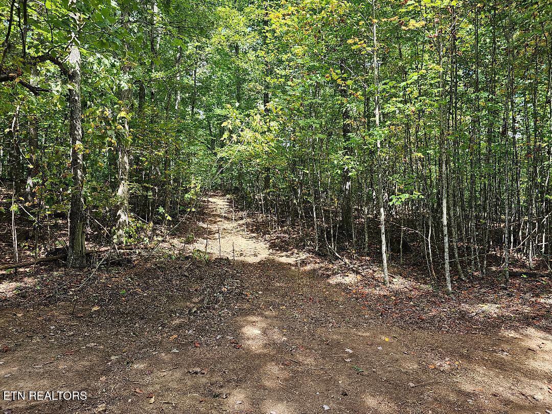 73.87-ac Mill Hollow Road Tazewell, TN 37879 - Photo 22 of 35 pic33