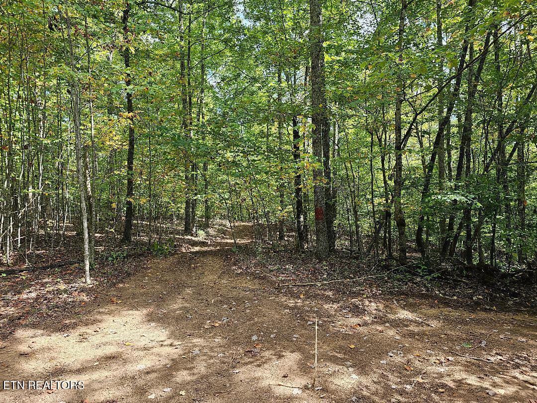 73.87-ac Mill Hollow Road Tazewell, TN 37879 - Photo 24 of 35 pic35
