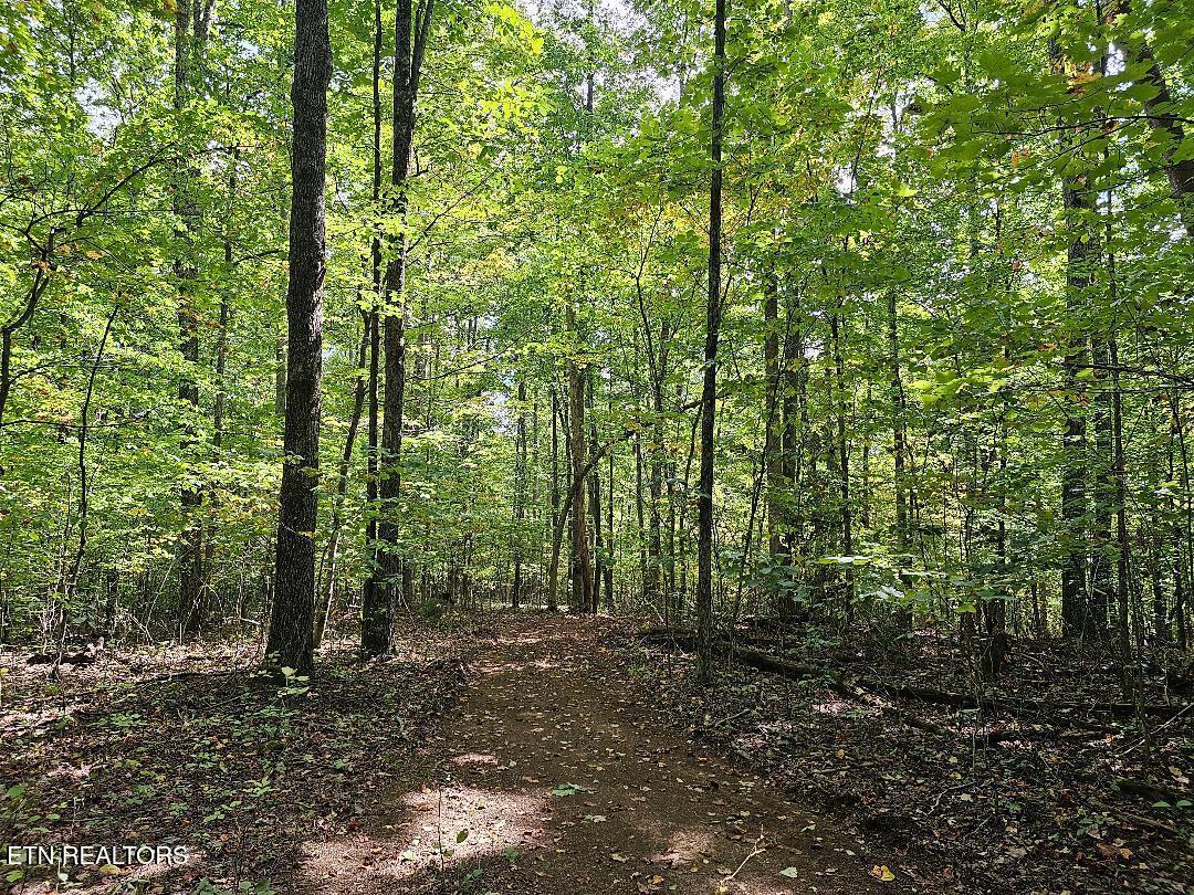 73.87-ac Mill Hollow Road Tazewell, TN 37879 - Photo 25 of 35 pic36