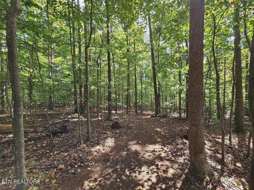 73.87-ac Mill Hollow Road Tazewell, TN 37879 - Photo 26 of 35 pic37