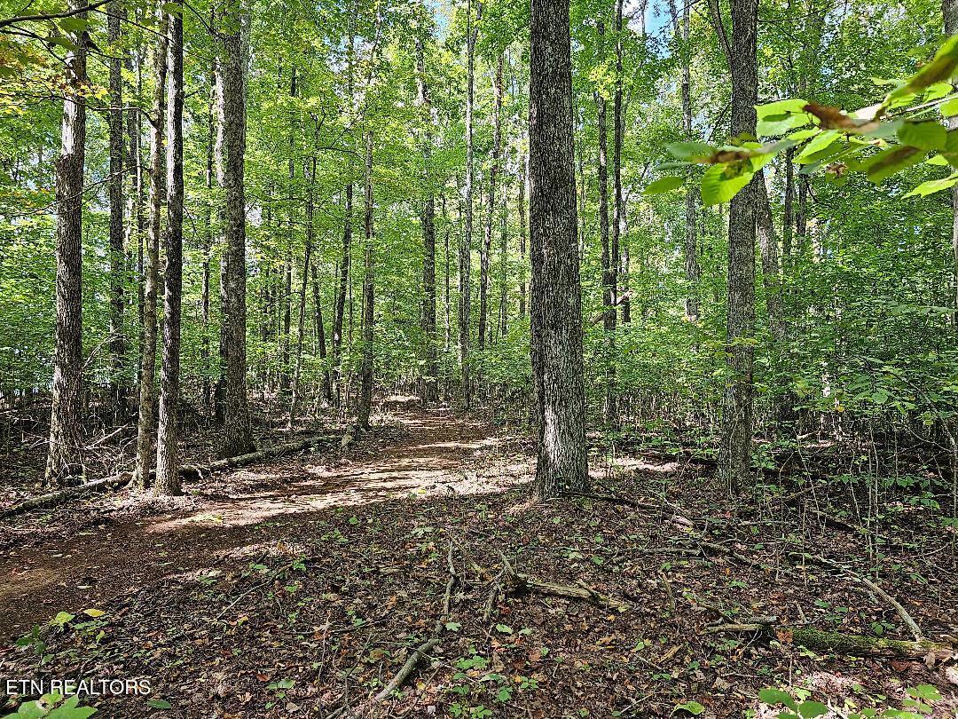 73.87-ac Mill Hollow Road Tazewell, TN 37879 - Photo 27 of 35 pic38