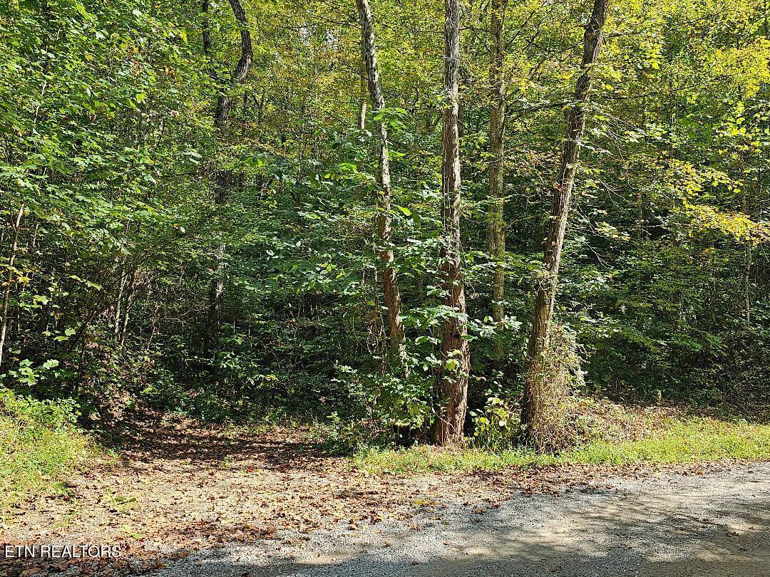73.87-ac Mill Hollow Road Tazewell, TN 37879 - Photo 3 of 35 pic6