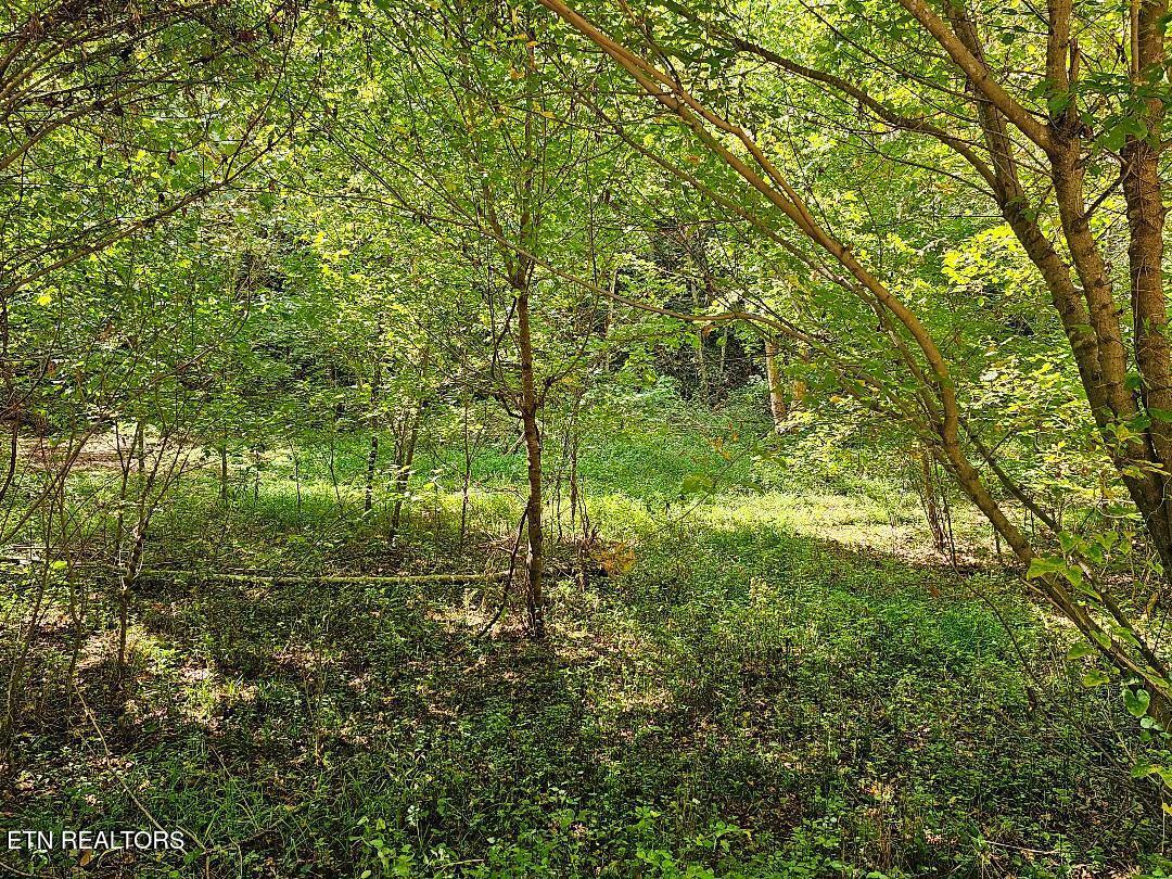 73.87-ac Mill Hollow Road Tazewell, TN 37879 - Photo 4 of 35 pic9