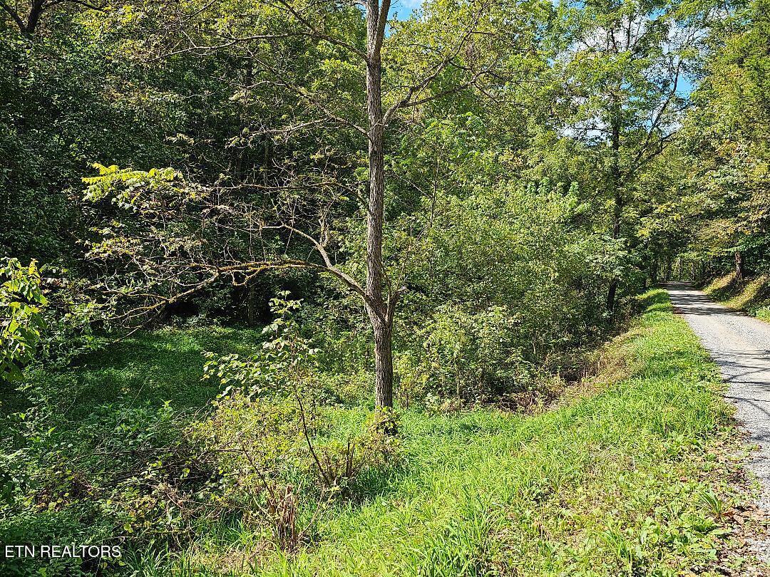 73.87-ac Mill Hollow Road Tazewell, TN 37879 - Photo 8 of 35 pic13