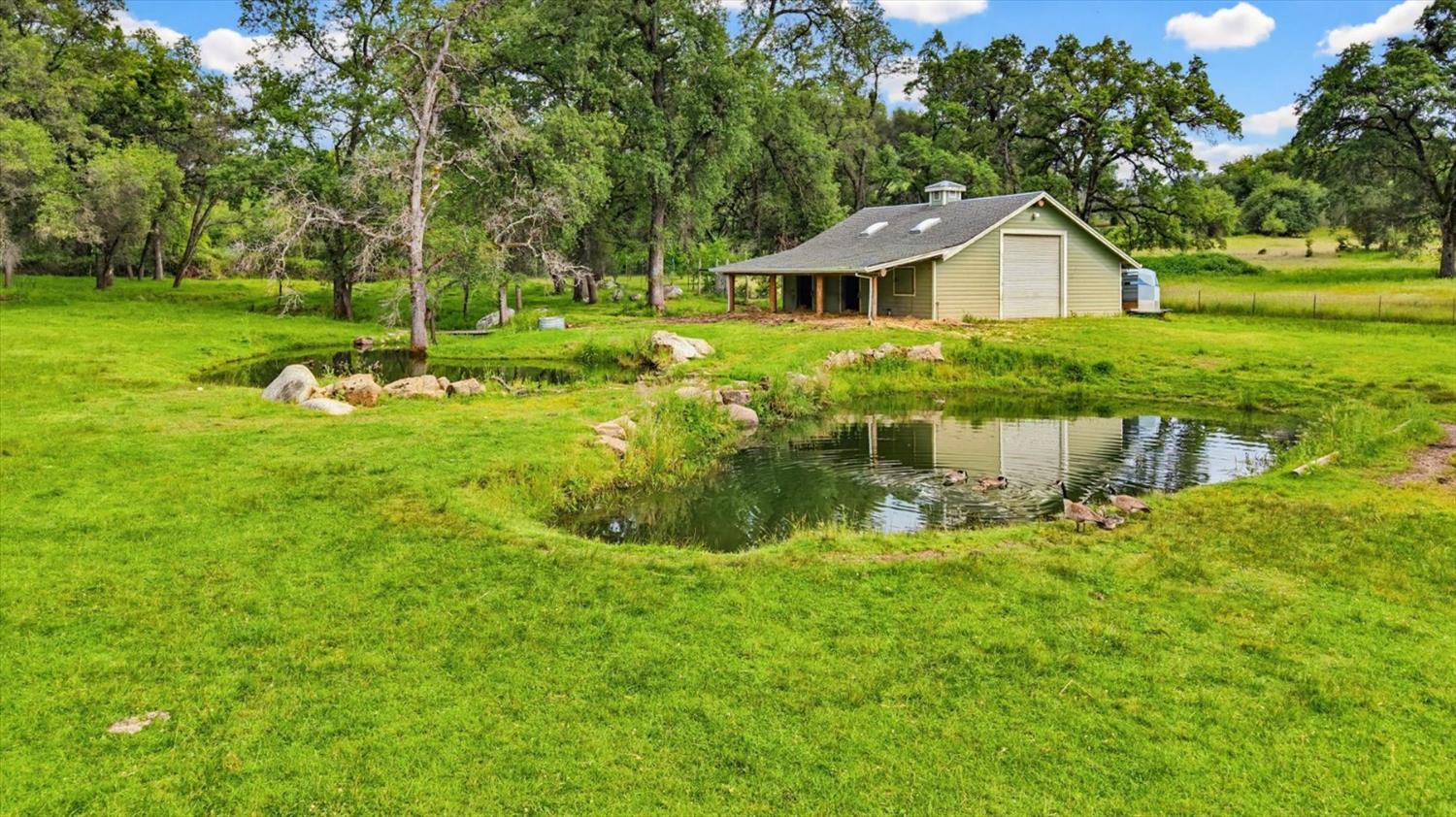 21211 McCourtney Road Grass Valley, CA 95949 - Photo 3 of 93
