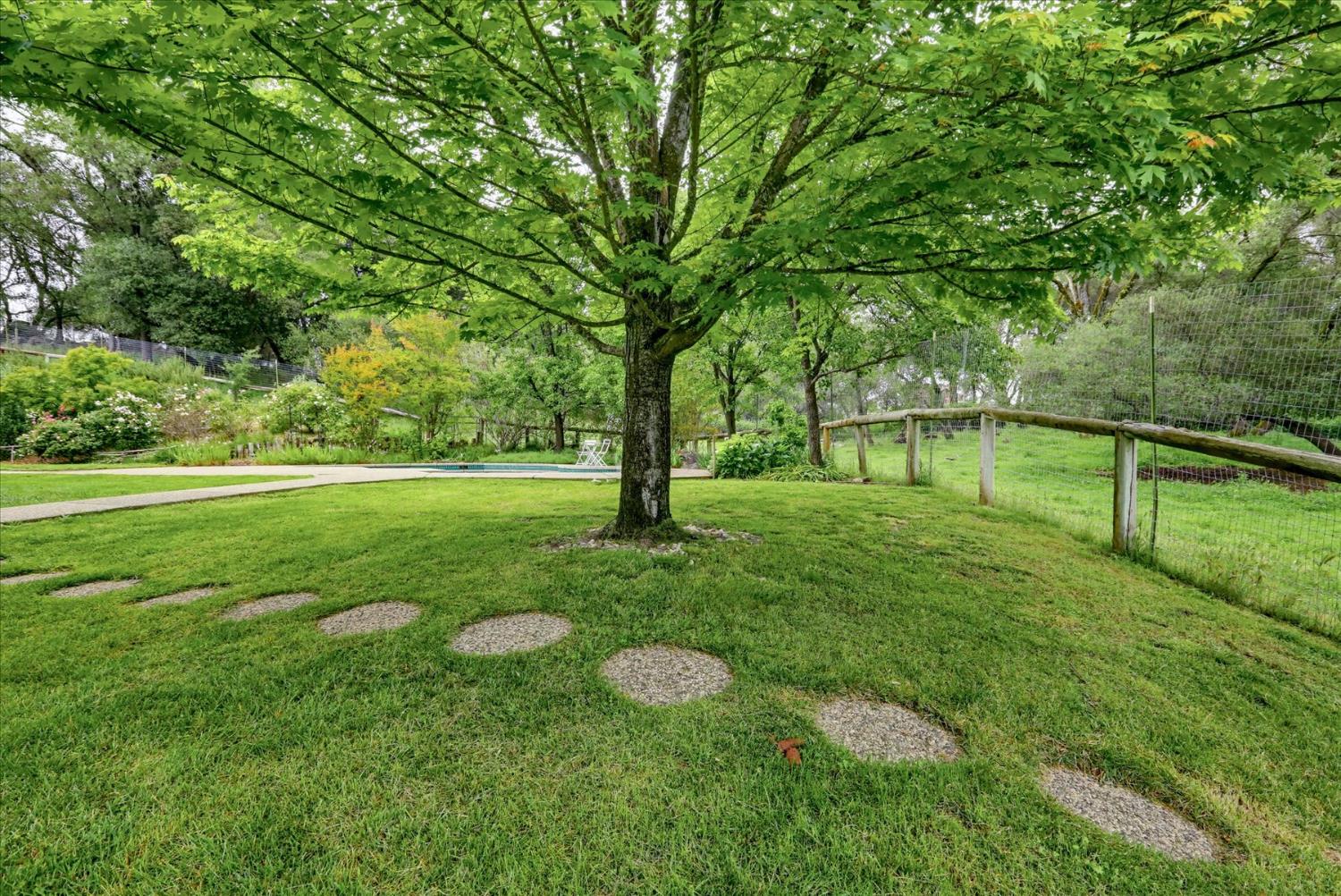 21211 McCourtney Road Grass Valley, CA 95949 - Photo 64 of 93