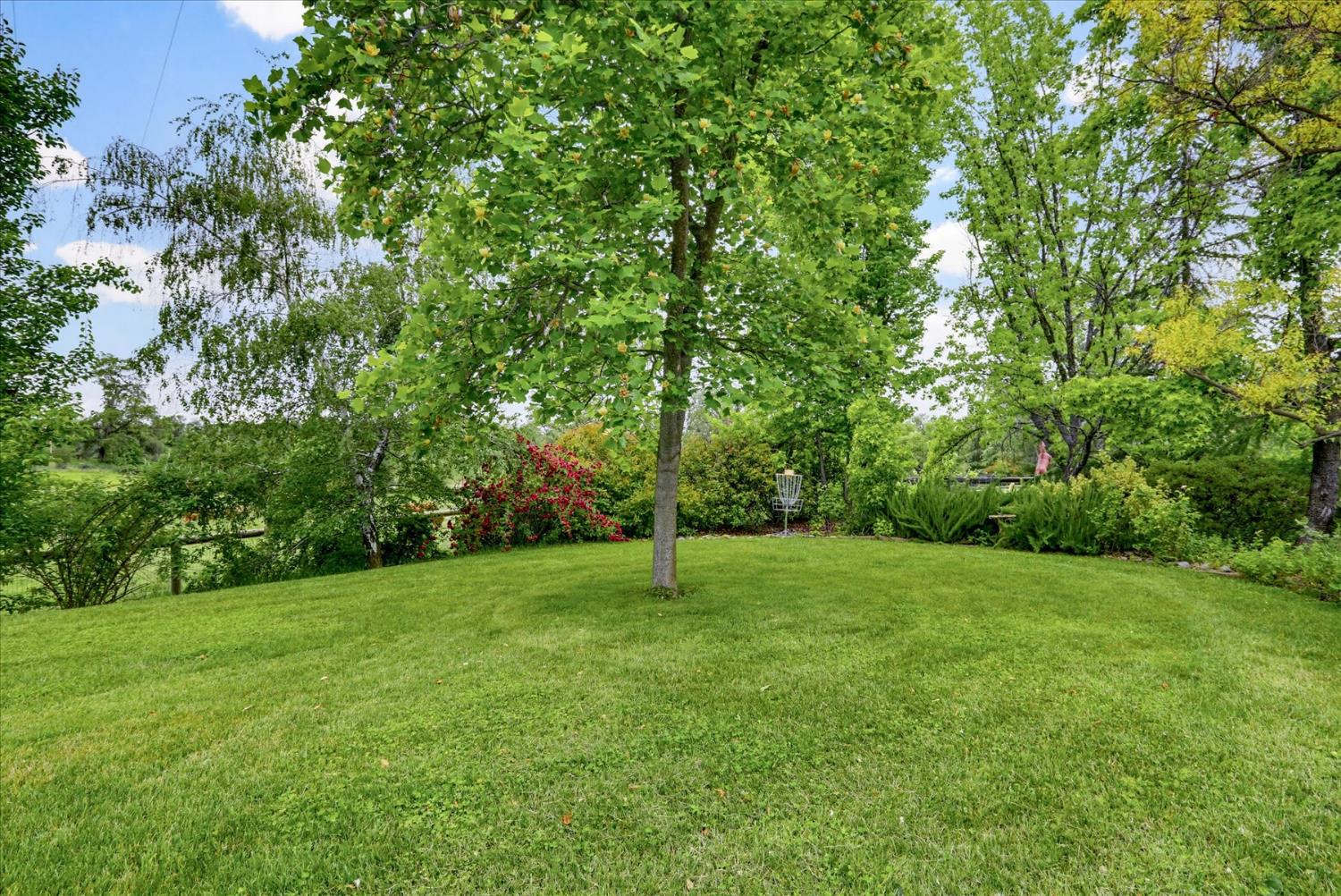 21211 McCourtney Road Grass Valley, CA 95949 - Photo 81 of 93