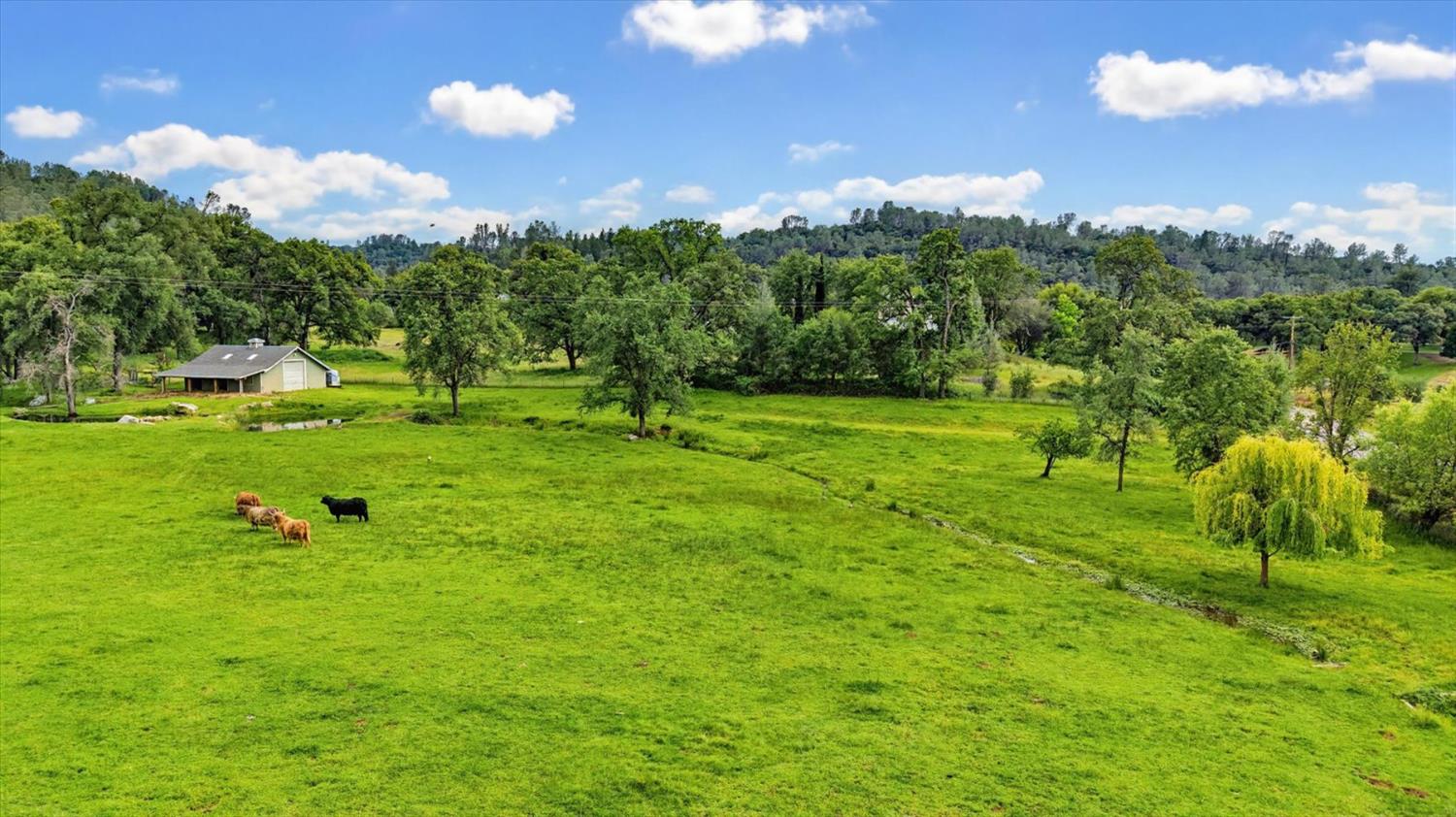 21211 McCourtney Road Grass Valley, CA 95949 - Photo 91 of 93