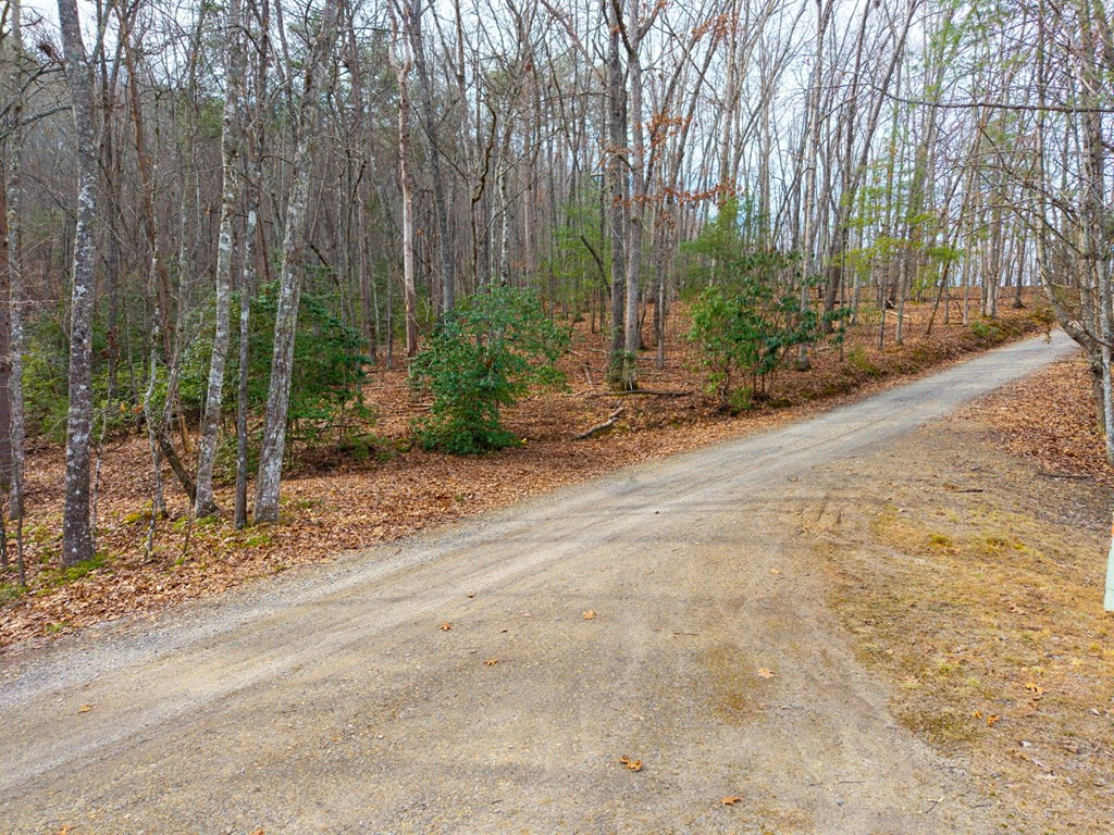 52 B Forest View Murphy, NC 28906 - Photo 2 of 13