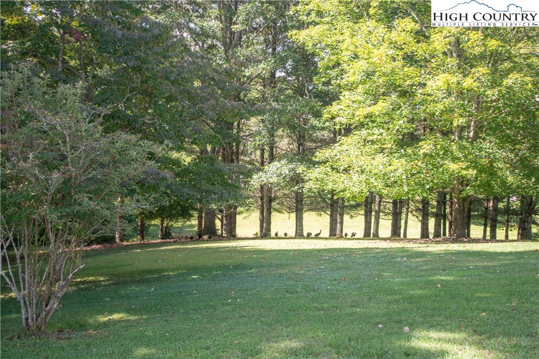 364 Hartsoe Road Warrensville, NC 28693 - Photo 14 of 45 Gallery Image 14