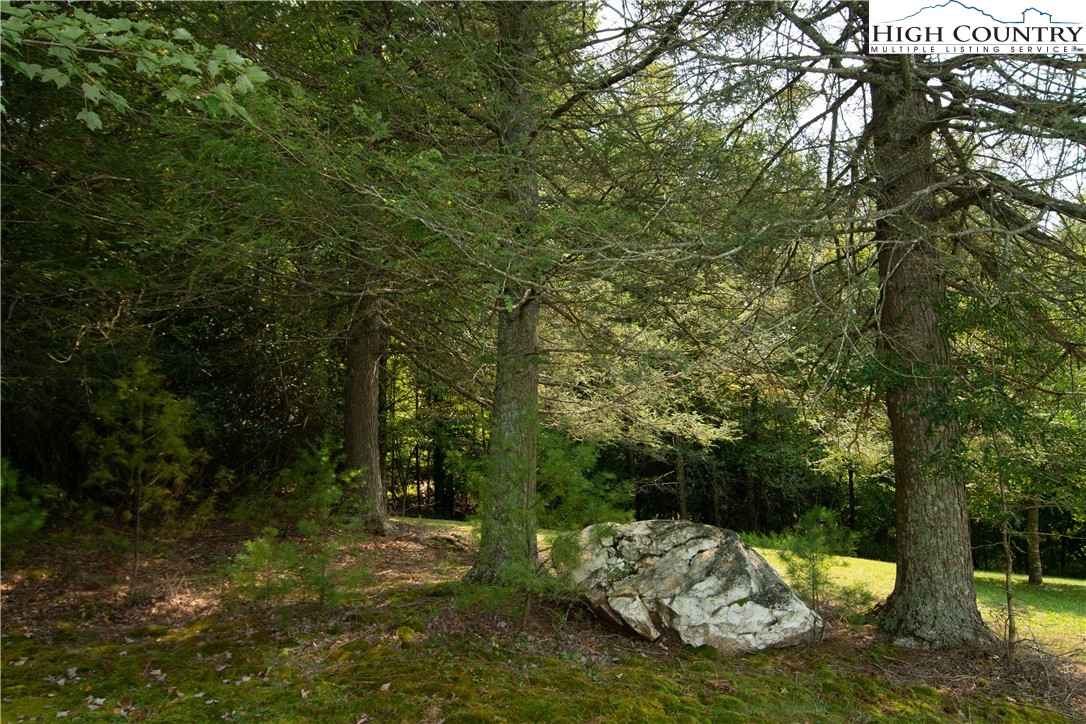 364 Hartsoe Road Warrensville, NC 28693 - Photo 43 of 45 Gallery Image 43