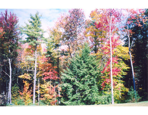 492 S Road Templeton, MA 01468 - Photo 8 of 8