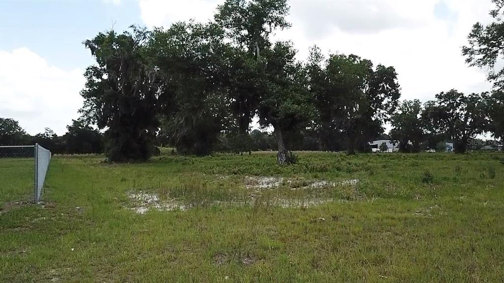 1020 Duck Box Road Umatilla, FL 32784 - Photo 11 of 13