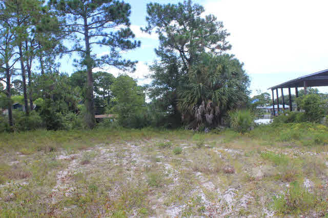 161 Highway 161 Orange Beach, AL 36561 - Photo 4 of 7