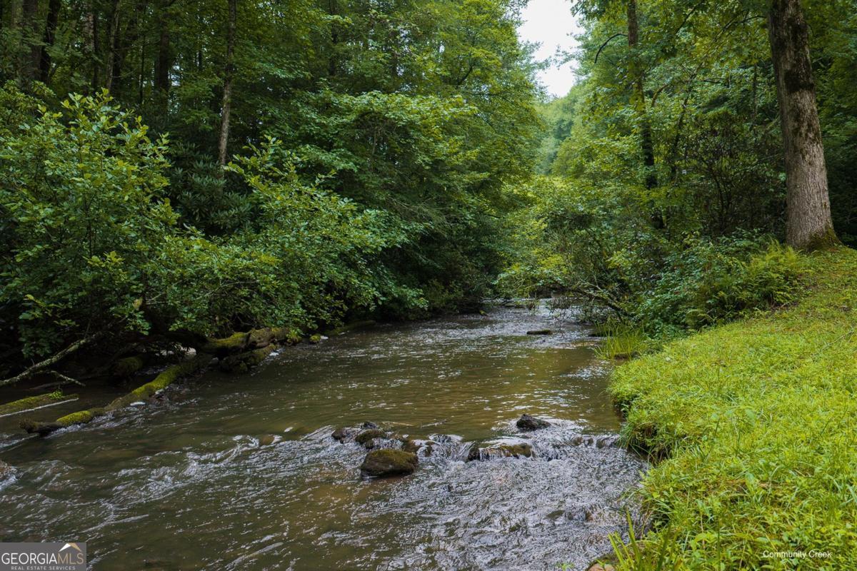 196 Creek Camp Road Ellijay, GA 30536 - Photo 41 of 55 Gallery Image 41