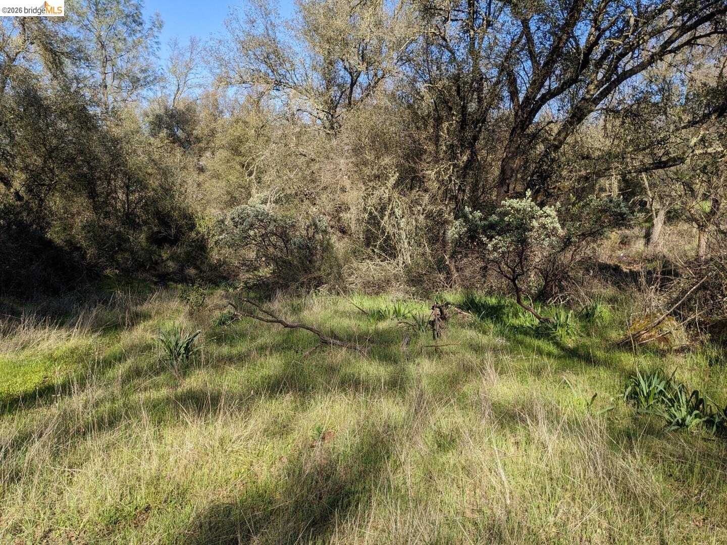 4095 Green Valley Road Rescue, CA 95672 - Photo 19 of 31 Gallery Image 19