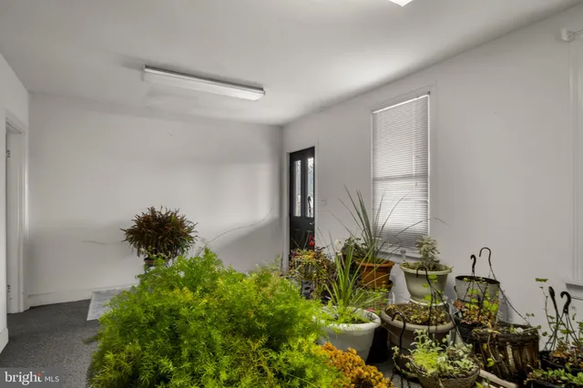 a vase of flowers sitting on a floor in front of a room