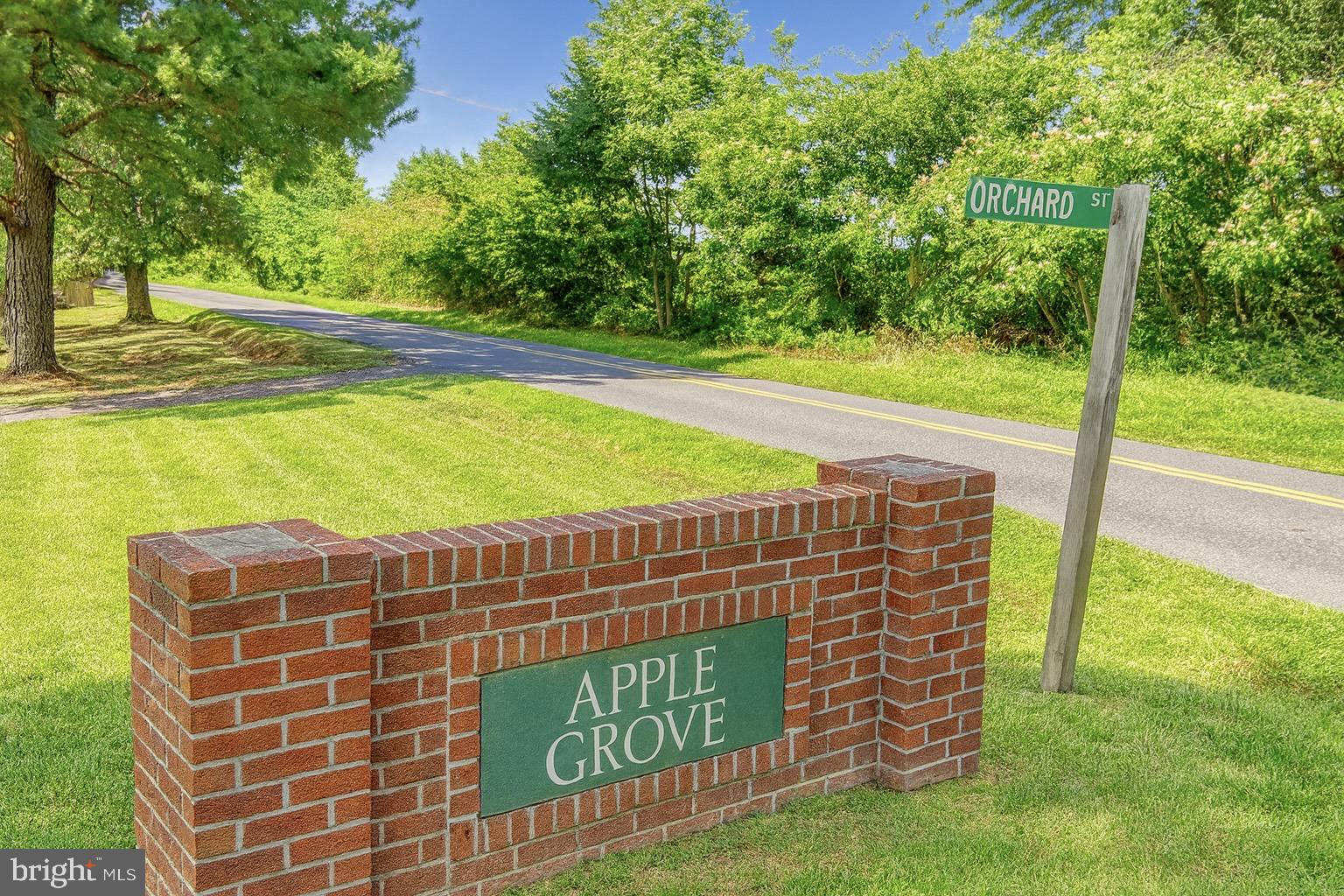 Orchard Street Locust Grove, VA 22508 - Photo 2 of 2 a view of outdoor space with swimming pool and trees in the background