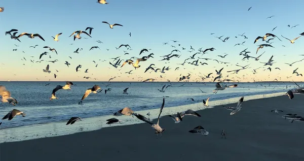 $2,399,000 | 418 Beachside Place, Unit 418, Fernandina Beach, FL 32034