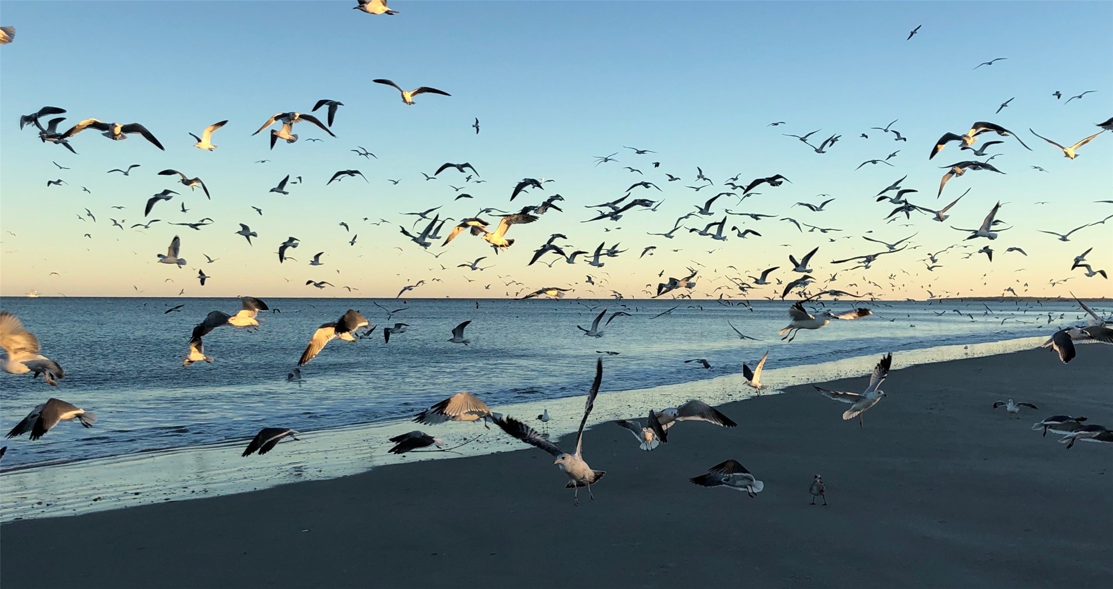 418 Beachside Place, Unit 418 Fernandina Beach, FL 32034 - Photo 88 of 91