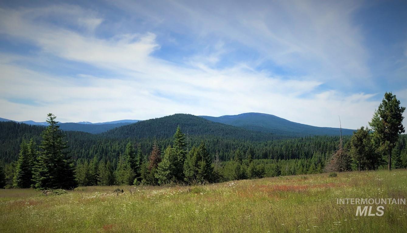 5 Hungry Ridge Road Grangeville, ID 83530 - Photo 24 of 24