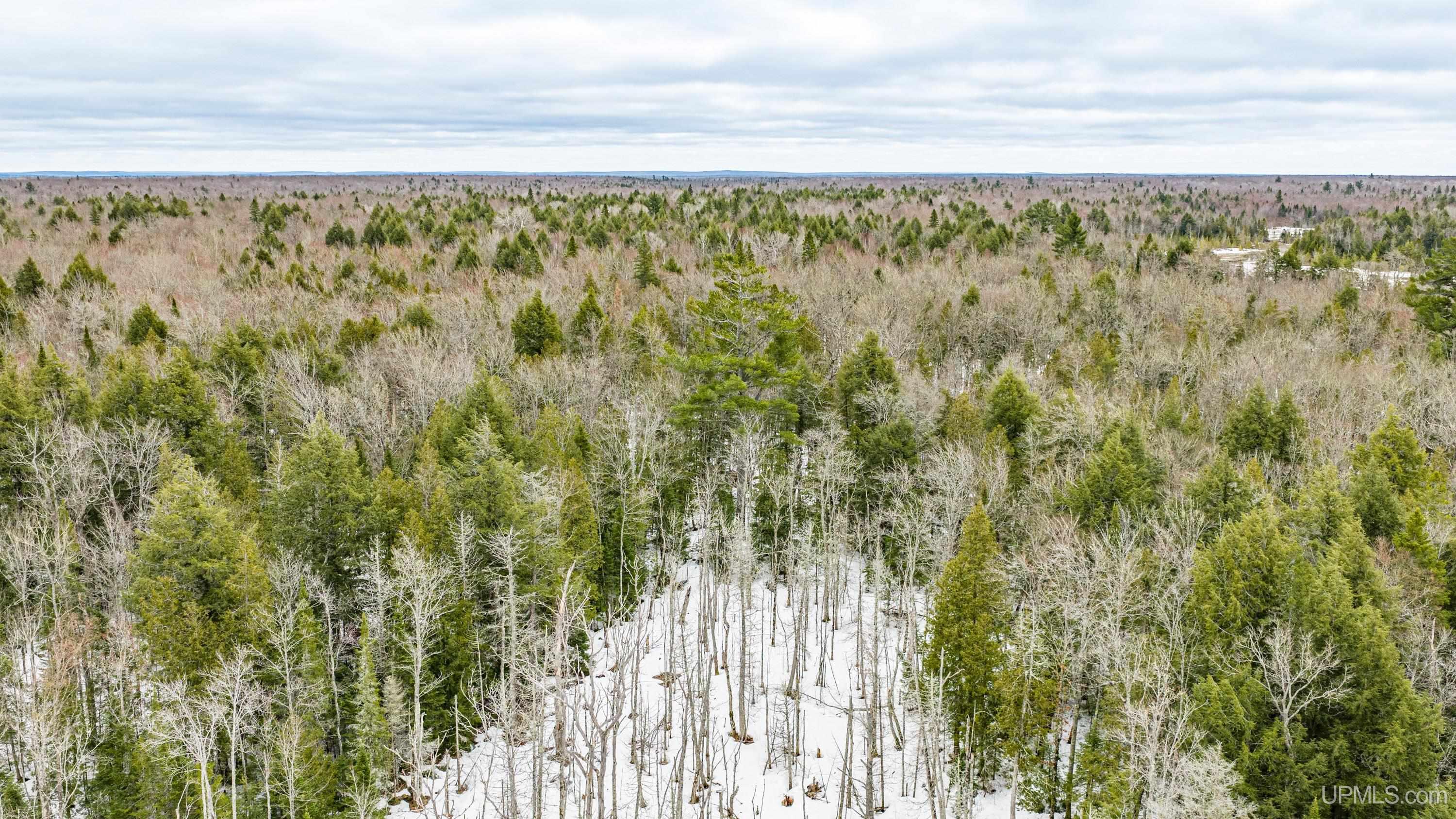 Tbd Off M28 Road, Unit NO LEGAL INSURABLE ACCESS Ewen, MI 49925 - Photo 9 of 23