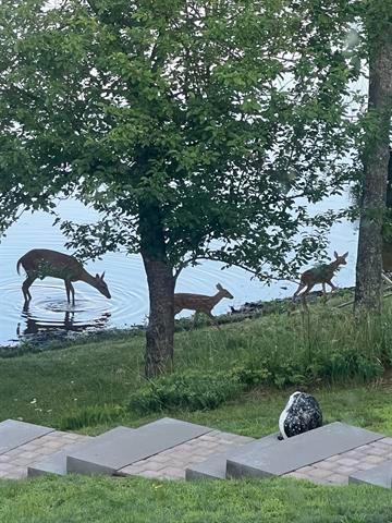 66895 West Spider Lake Road Iron River, WI 54847 - Photo 40 of 47