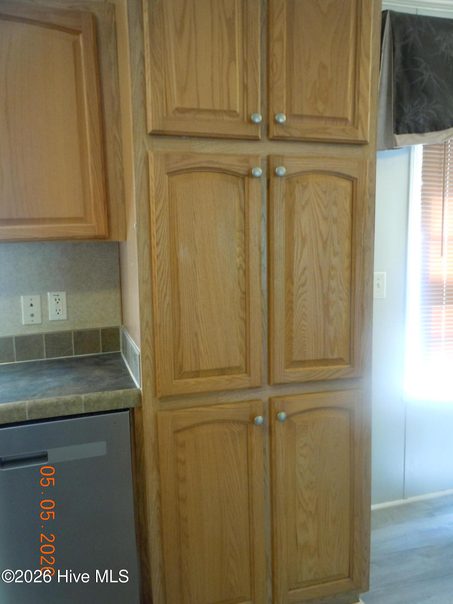 1946 Jasmine Road Loris, SC 29569 - Photo 18 of 84 DSCN1220