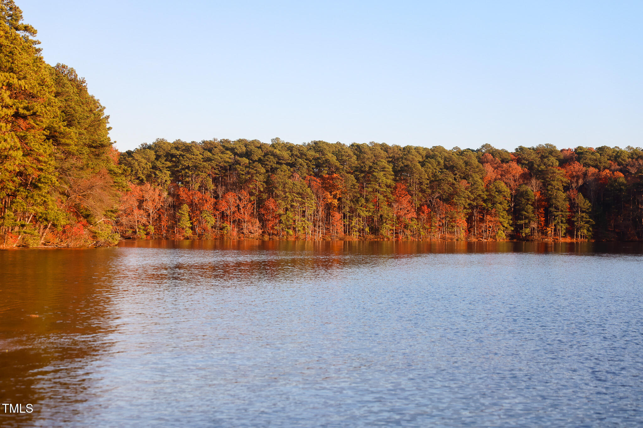 5061 Lundy Drive, Unit 101 Raleigh, NC 27606 - Photo 48 of 49 a view of a lake