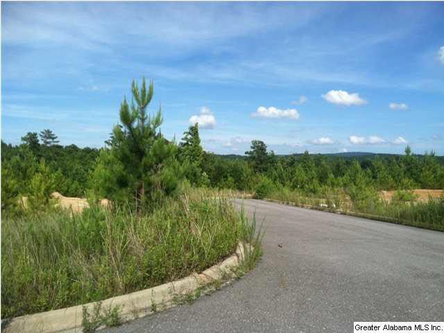 Old Acton Road, Unit 55 Moody, AL 35004 - Photo 8 of 9