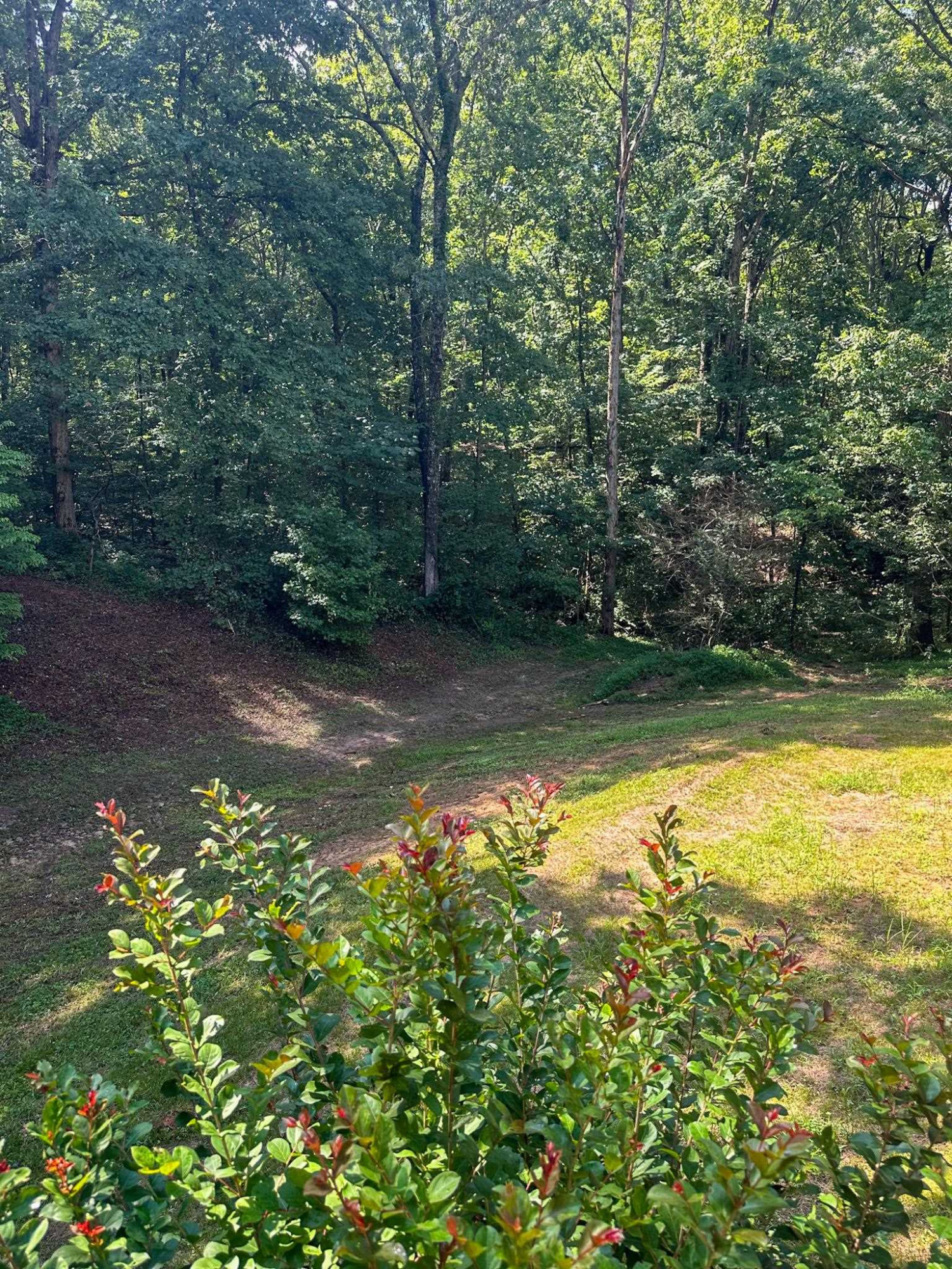 623 Parkburg Road Pinson, TN 38366 - Photo 8 of 38 Photo 8