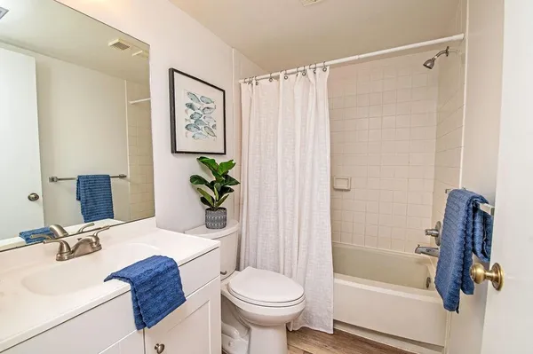 a bathroom with a sink toilet and a bathtub