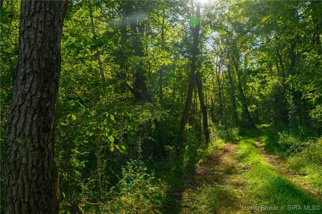 $159,900 | Tract 10 North State Road 156, Patriot, IN 47038