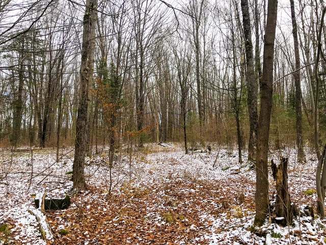 Off Rozell Road Tripoli, WI 54564 - Photo 3 of 7 Gallery Image 3