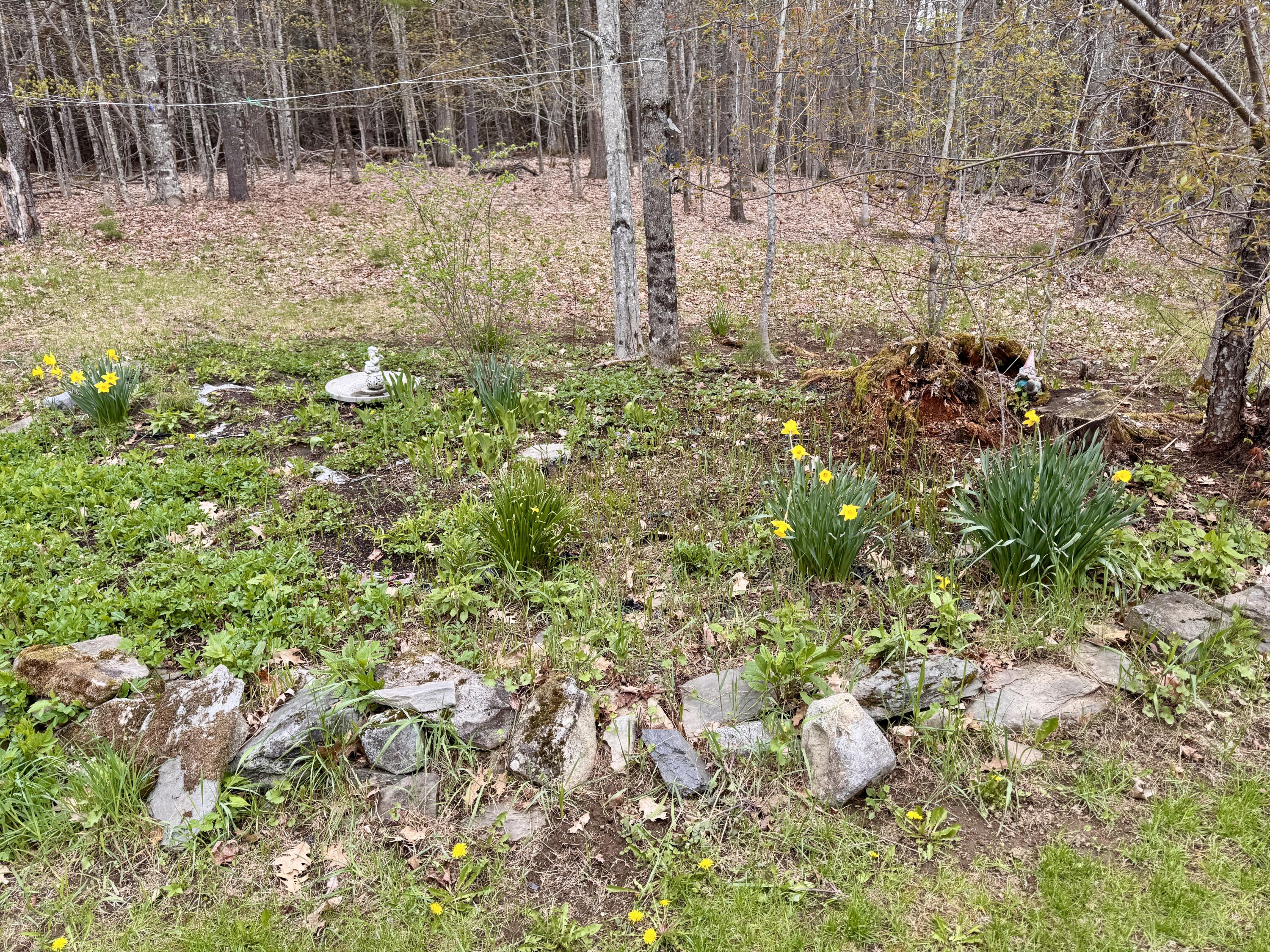 17 Old Pond Road Dexter, ME 04930 - Photo 86 of 100 IMG_8420