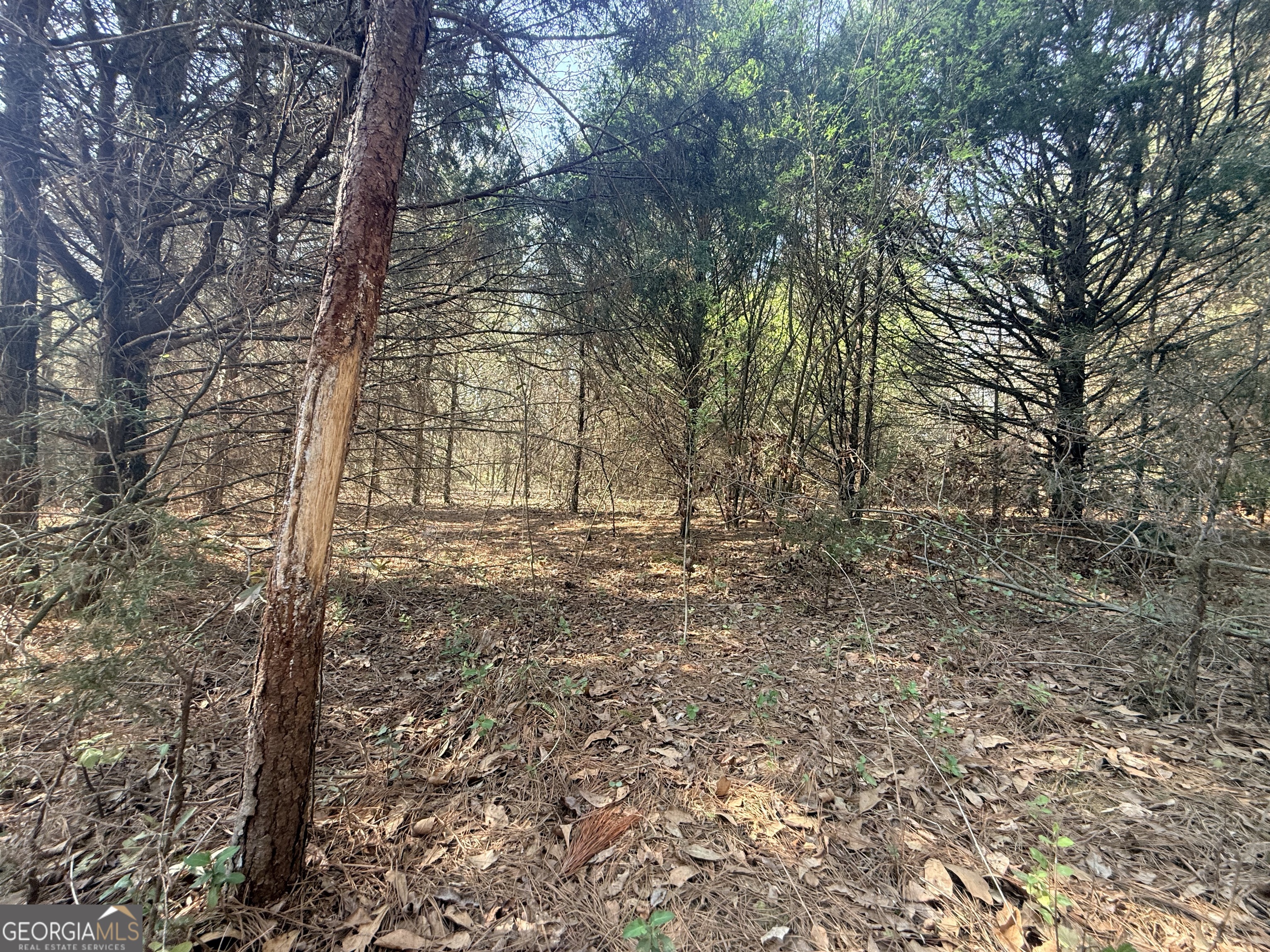 3065 Sycamore Road Commerce, GA 30530 - Photo 14 of 29